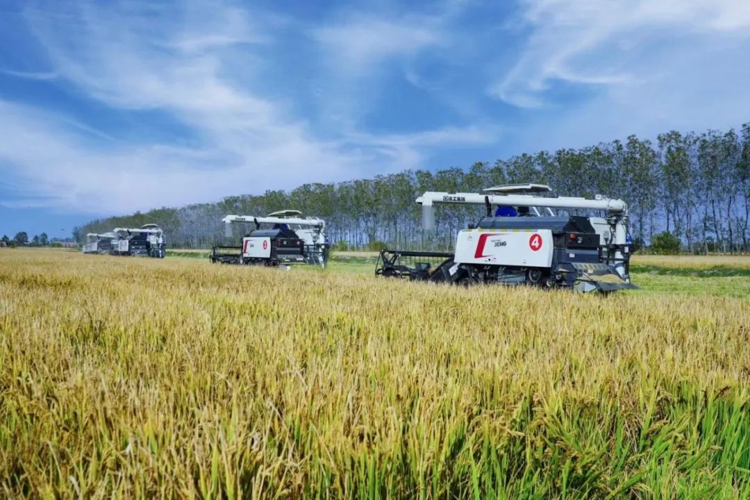 平博·(pinnacle)官方网站