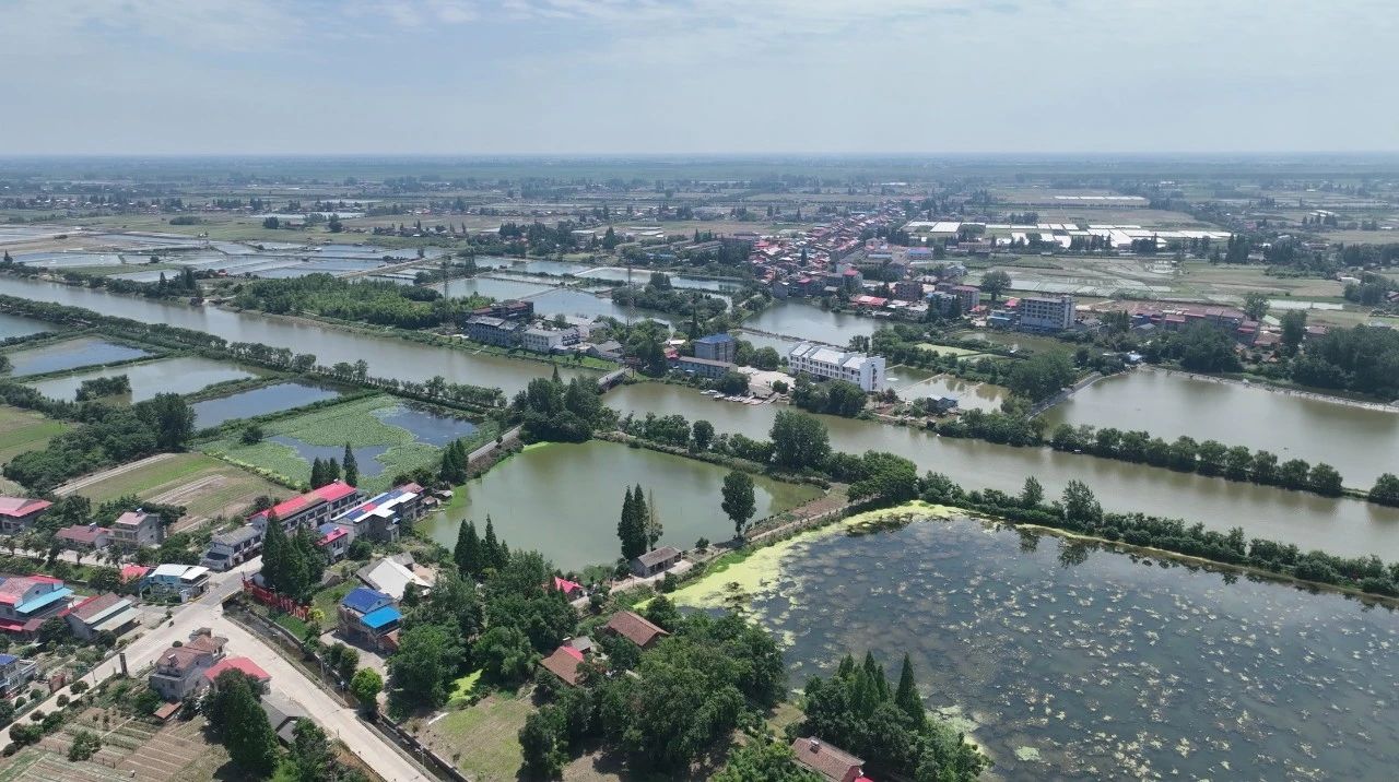 平博·(pinnacle)官方网站